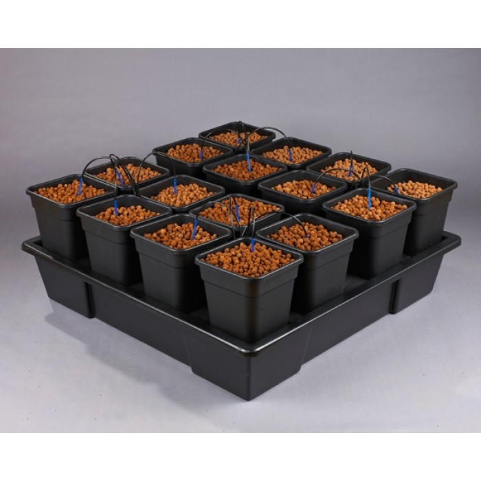 Wilma XXL 16 Pot - 11L (Collection Only)